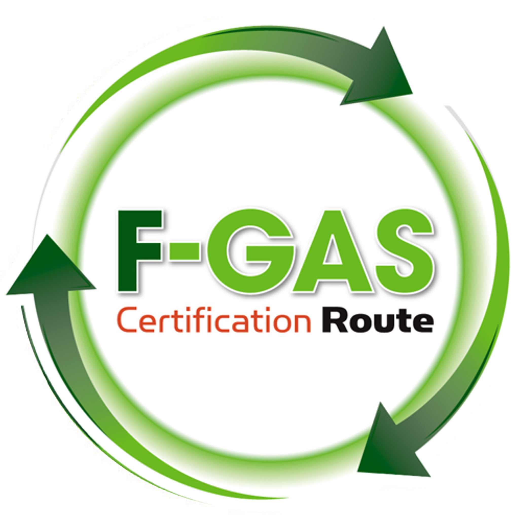 F-GAS N° IT263048